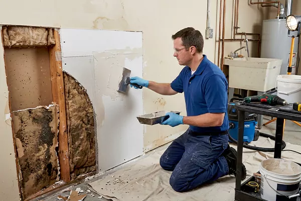 Mold and Drywall Repair Chino