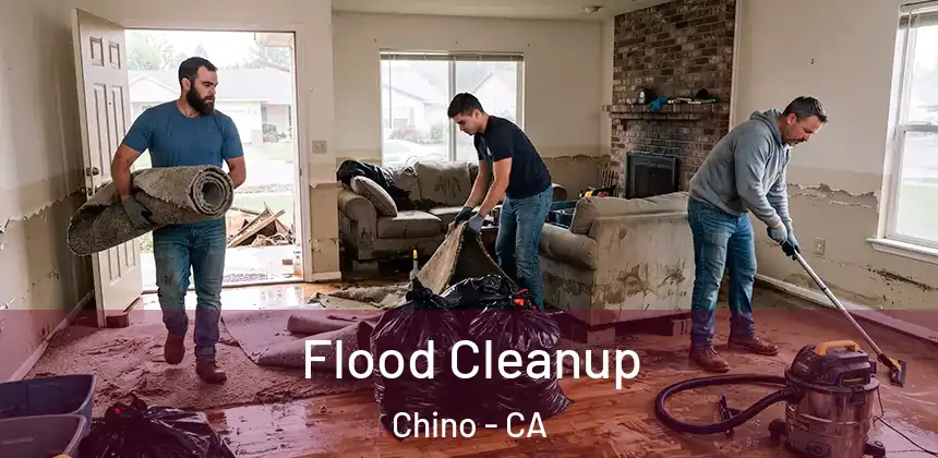 Flood Cleanup Chino - CA