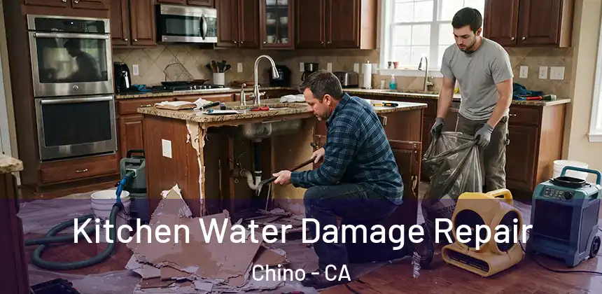  Kitchen Water Damage Repair Chino - CA