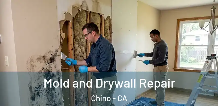 Mold and Drywall Repair Chino - CA