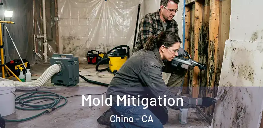  Mold Mitigation Chino - CA
