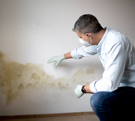 Mold Removal Service in Chino, CA