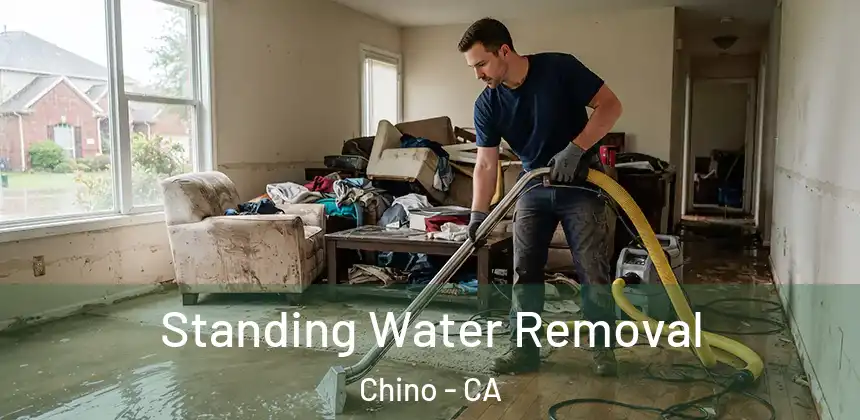  Standing Water Removal Chino - CA