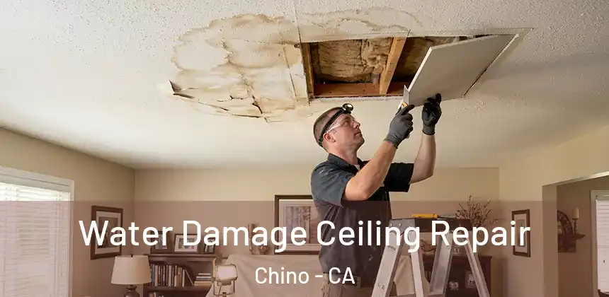 Water Damage Ceiling Repair Chino - CA