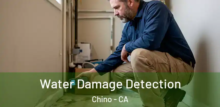  Water Damage Detection Chino - CA