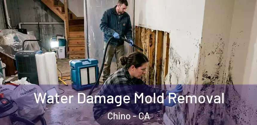  Water Damage Mold Removal Chino - CA