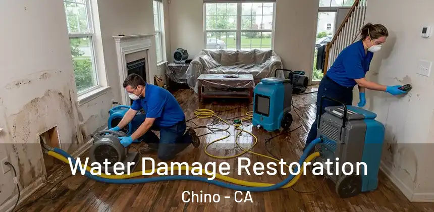 Water Damage Restoration Chino - CA