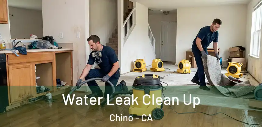  Water Leak Clean Up Chino - CA