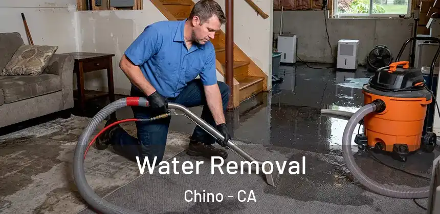 Water Removal Chino - CA